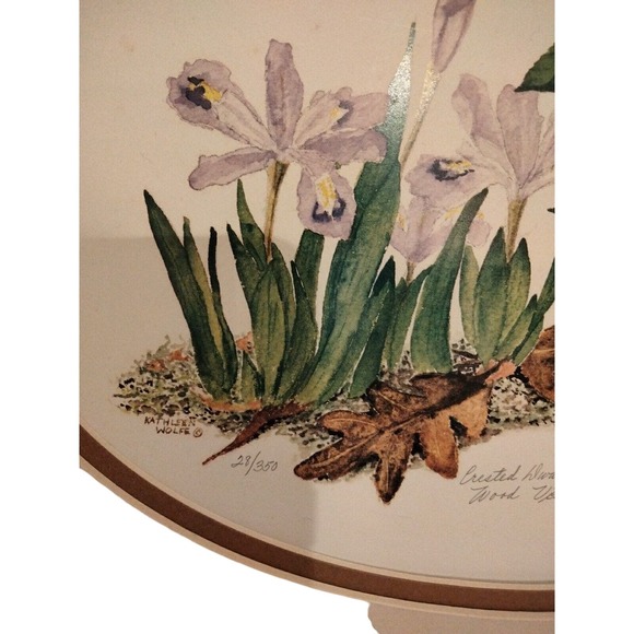 Kathleen Wolfe Crested Dwarf Iris Lithograph 28/350 Signed 10" X 13" - Picture 5 of 8